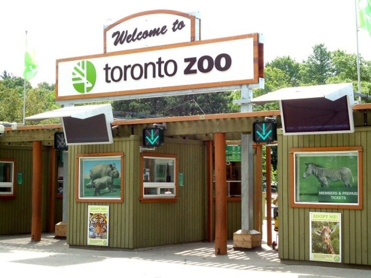 Зоопарк Торонто