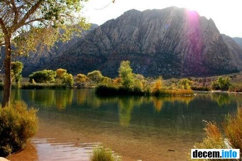 Оазис в Red Rock Canyon