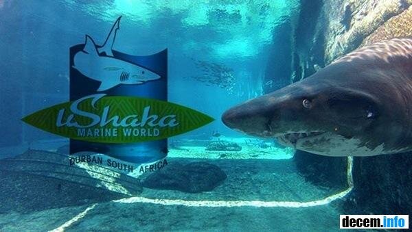 аквариум Ushaka Marine World