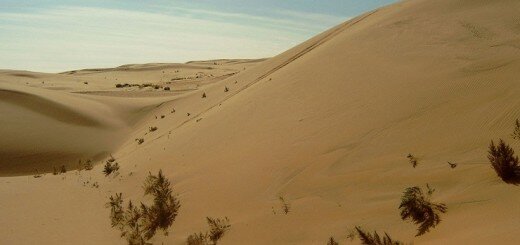 пустыня Гоби