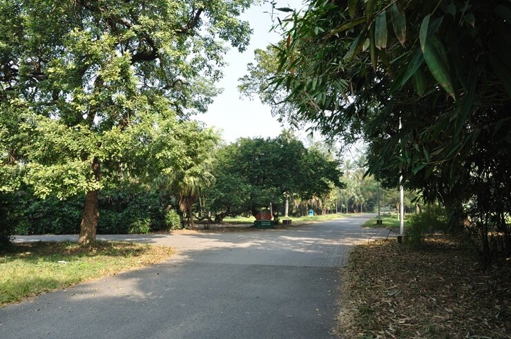 Индийский ботанический сад