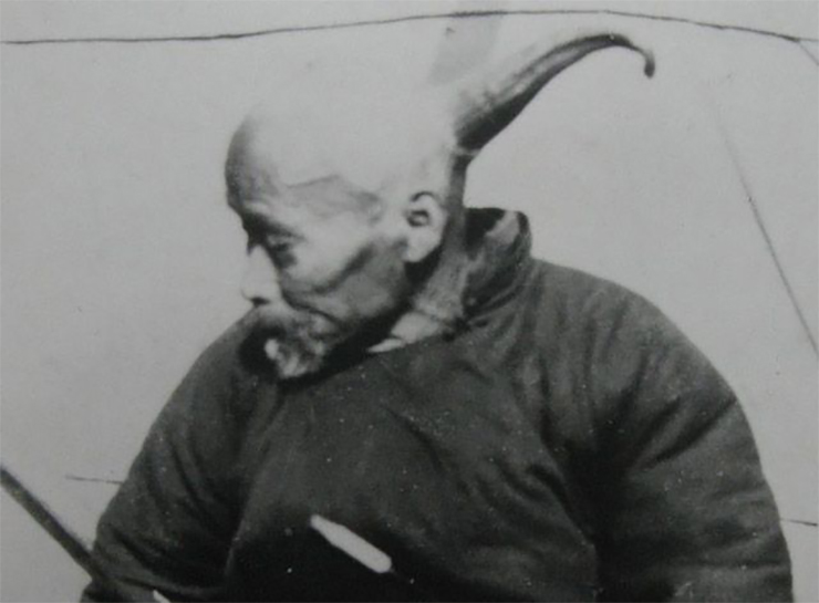 Ван или «человек-единорог»